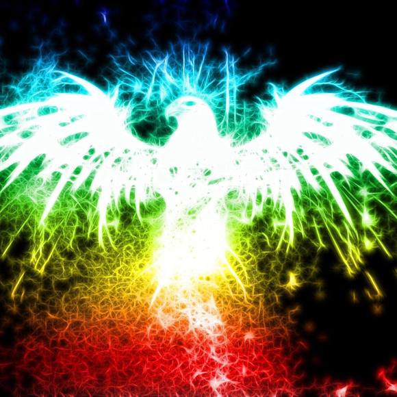 Meet your Posher, James - Picture 1 of 1